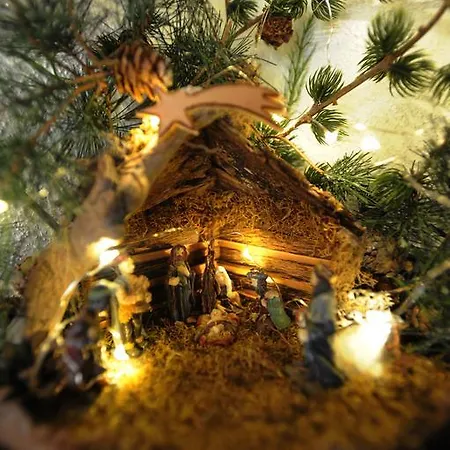 Haus Alpina Bed & Breakfast 3*