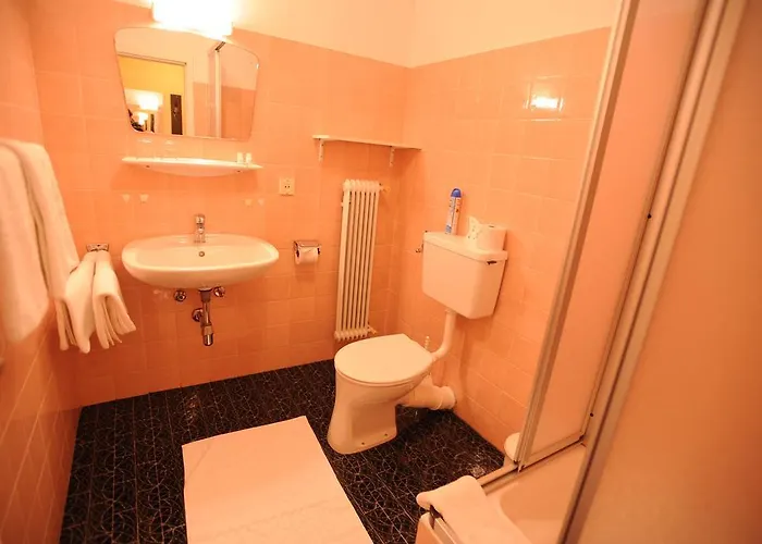 Bed & Breakfast Haus Alpina Radstadt